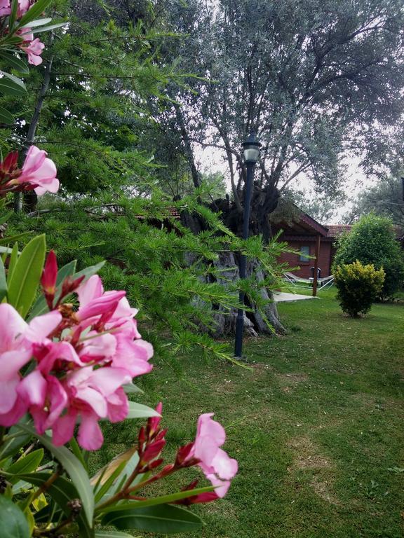 Kervan Tatil Koyu Едремит Екстериор снимка