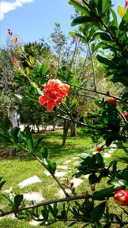 Kervan Tatil Koyu Едремит Екстериор снимка